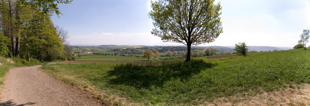 Blick vom Waldrand unterhalb des Katzenbuckels (626m) by stollem