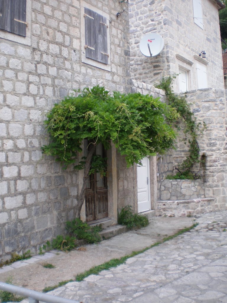 Perast by japjap27