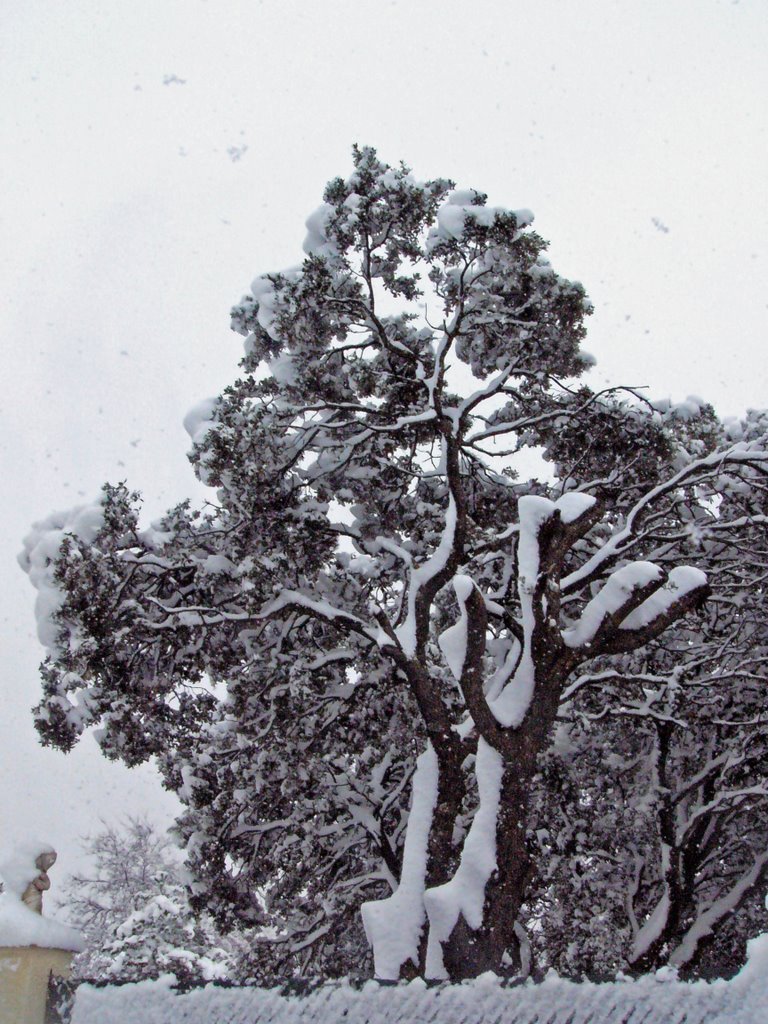 Nevada en Eurovillas. by Jose Luis hernandez Zurdo