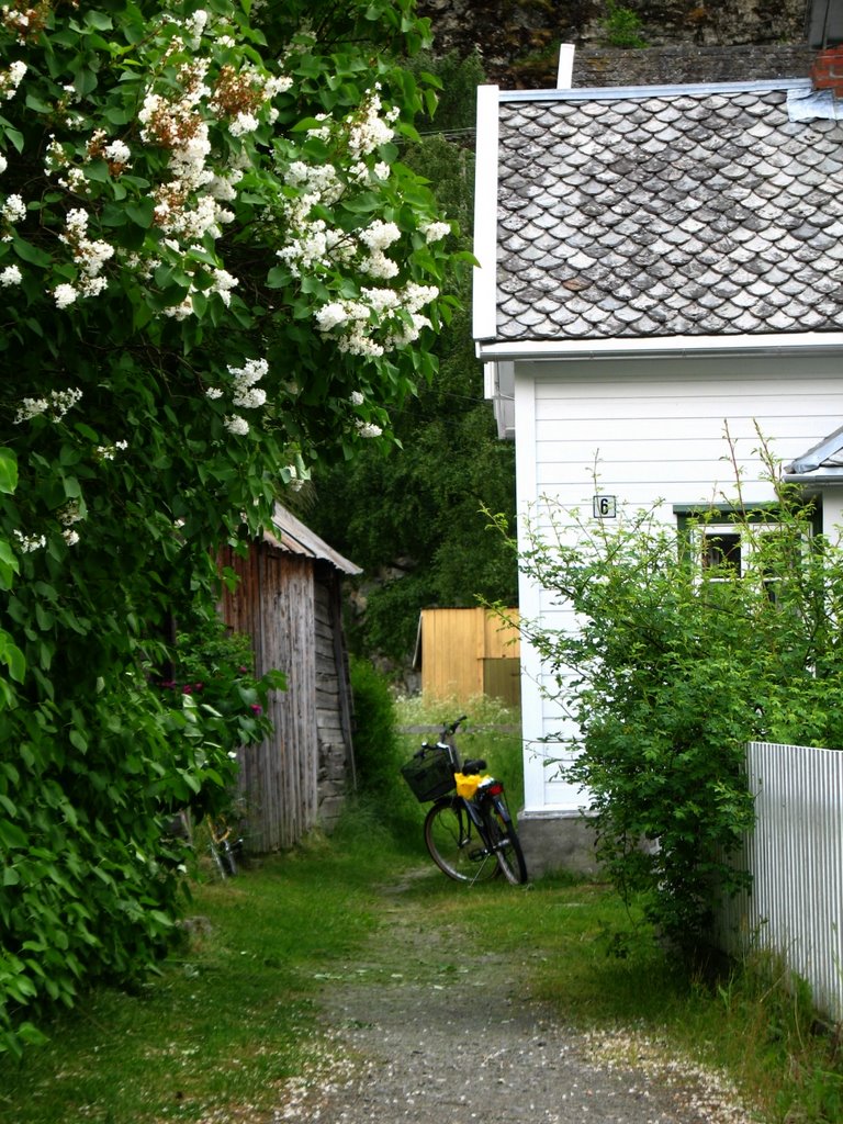 Laerdal Old Town 1 by nordlicht