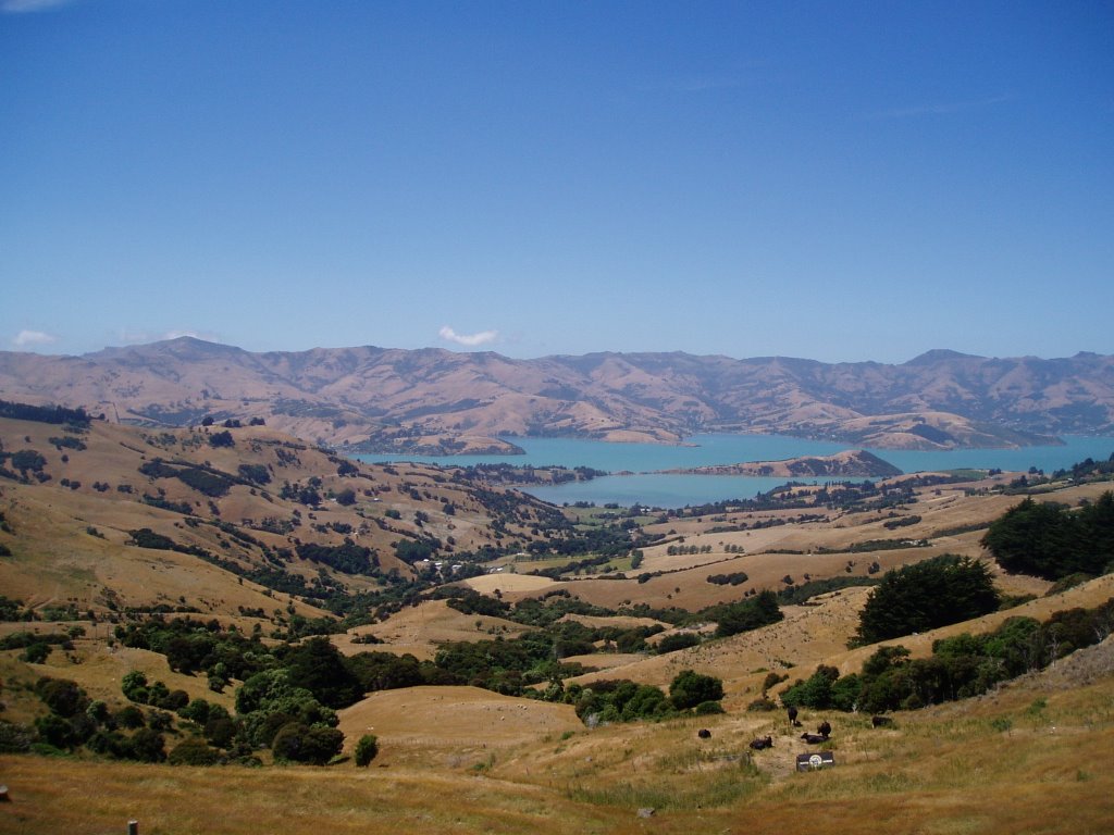 See akaroa gulf by kotetsu