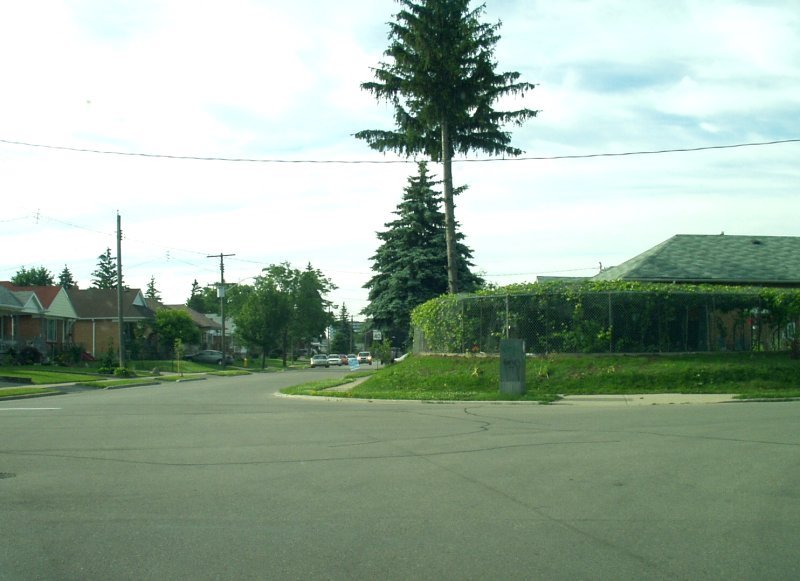 Shortcut to work - Vineyard in Manhattan Dr by feibian