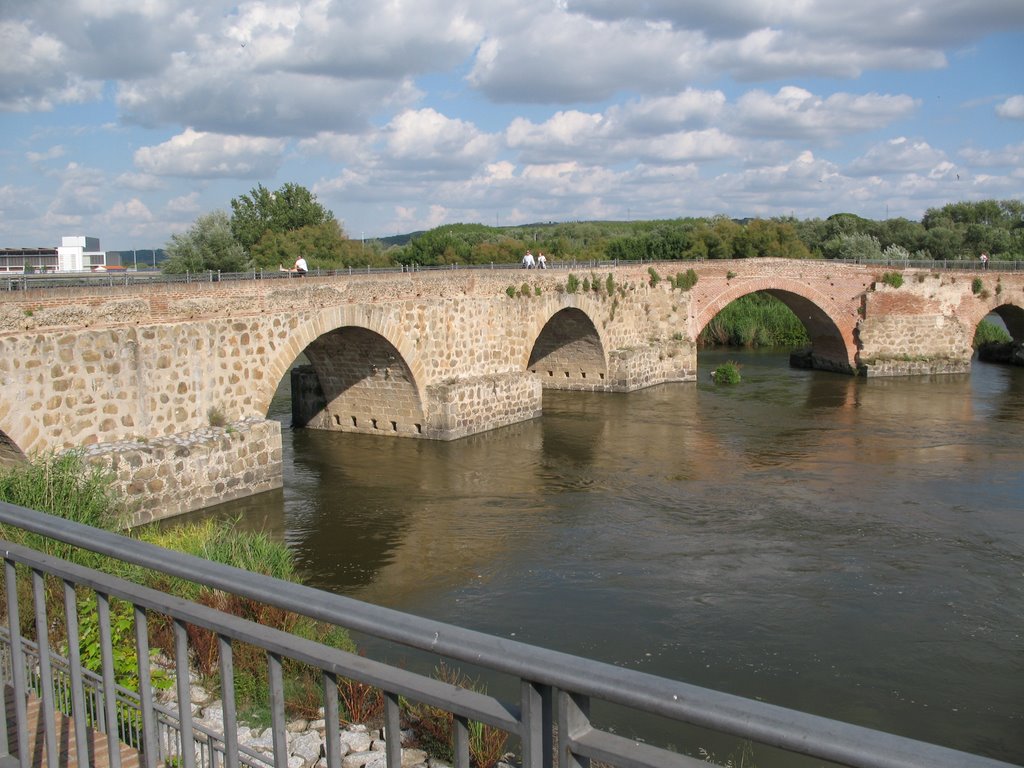 Puente Viejo en Talavera de la Reina by adrytalavera