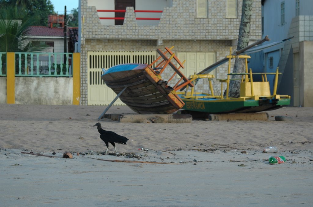 JANGADA PRAIA DE MARAGOGI by carlos castro