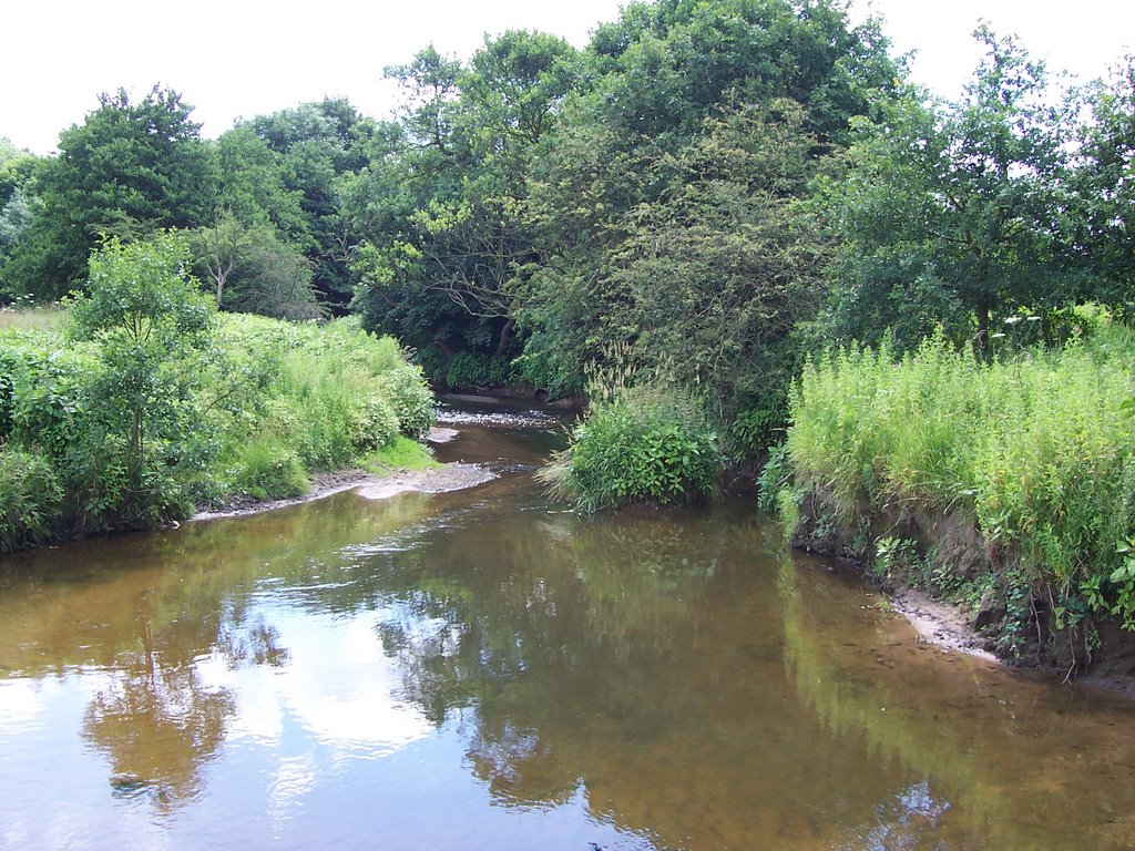 River Yarrow by Mickangler