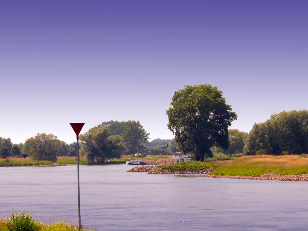 Ijssel bij Gorssel by Arie Bakker