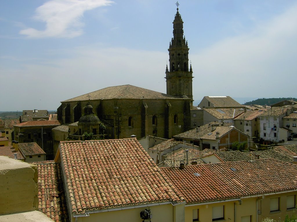 Briones: Panorámica desde el parque del Castillo by Rosaflor