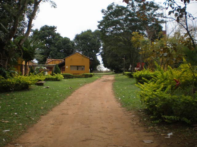 Parque dos Pinheiros, Nova Odessa - SP, Brazil by Udson Pinho