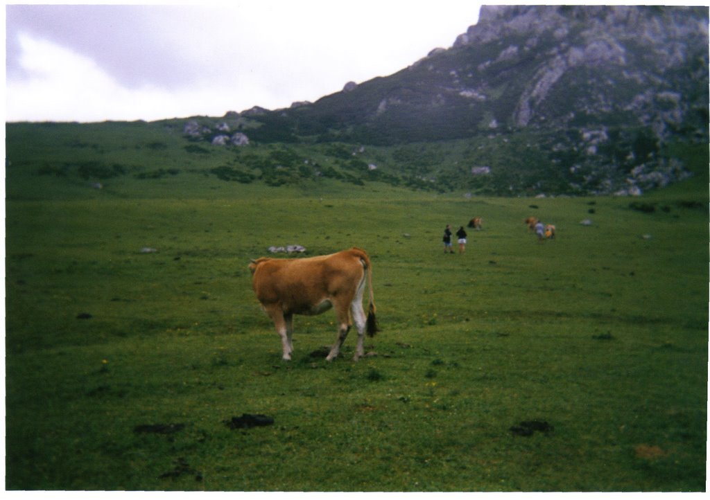 LAGOS DE COVADONGA by Jetzabel ♫  ♫