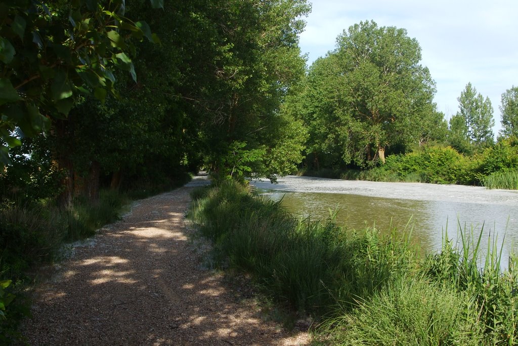 Canal, camino de servicio by A.Novo Sanjurjo