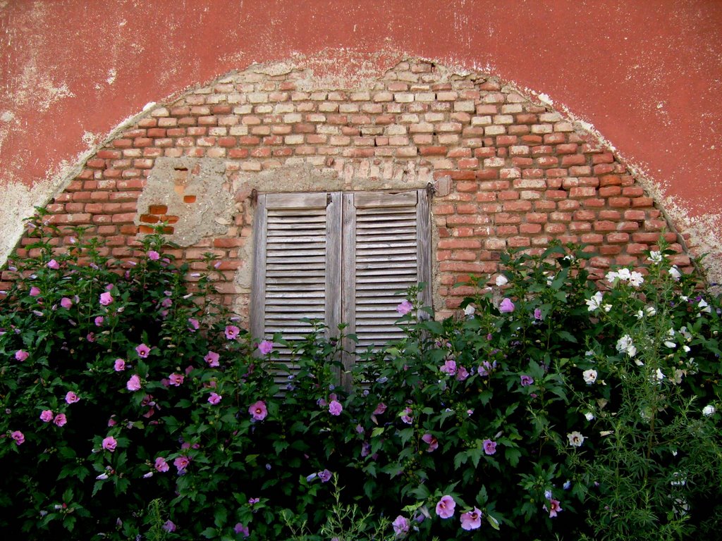 Cascina grande-Pozzuolo-M. by maes maestri