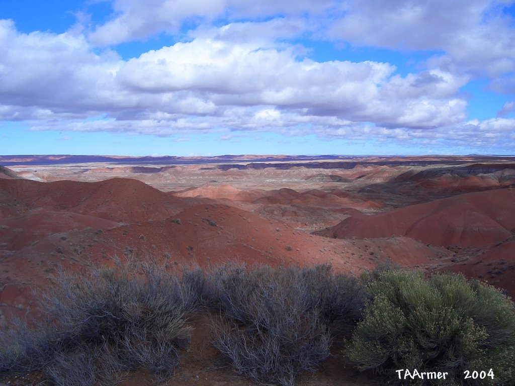 Painted Desert New Years Eve 2004 by hitandrun