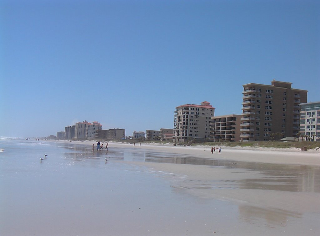 Beachfront Skyline - Spring, Noon by insomniac419