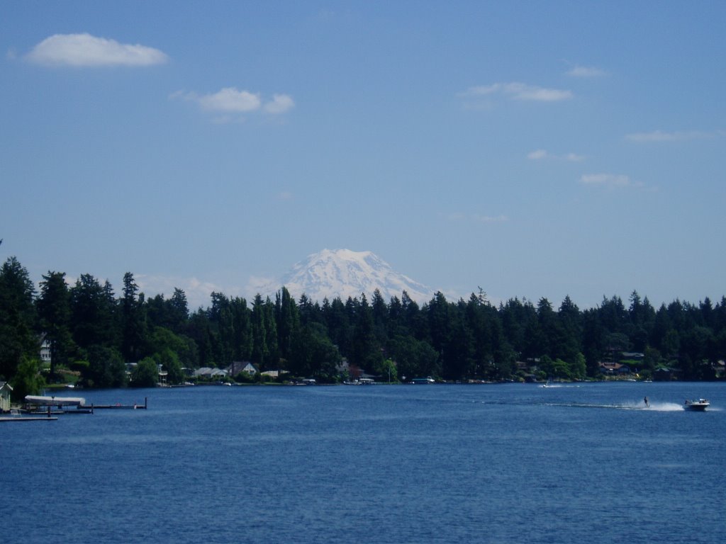 View of Mt. Rainier by Soensaeng