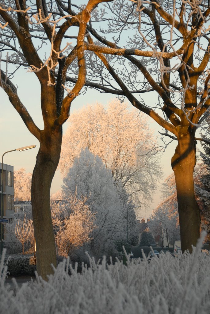 Prins Hendriklaan Soest in winter by Frank van Breukelen