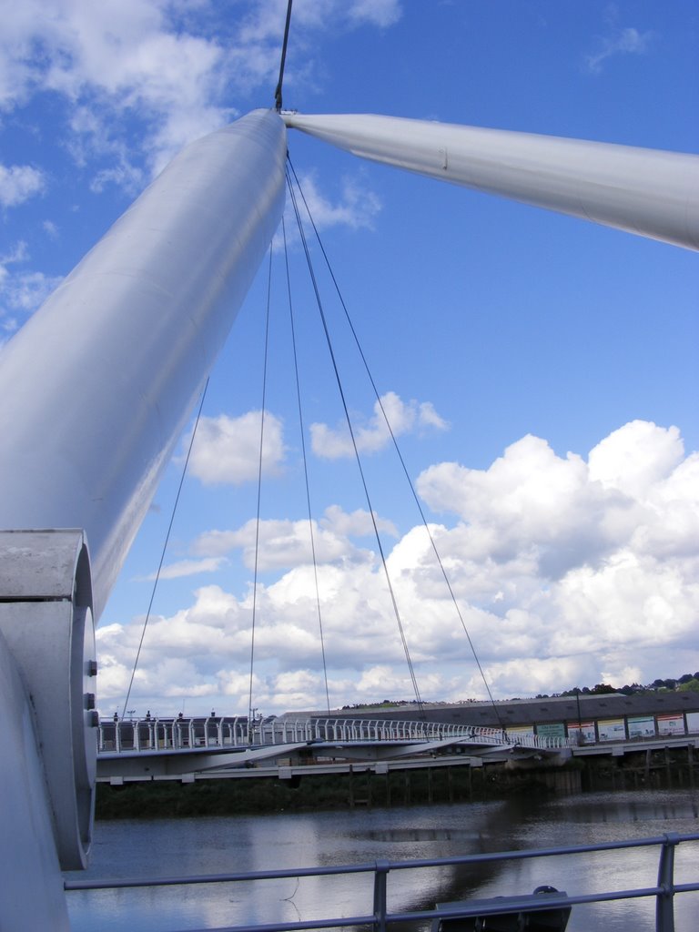 Milennium Footbridge by Nigel Desmond