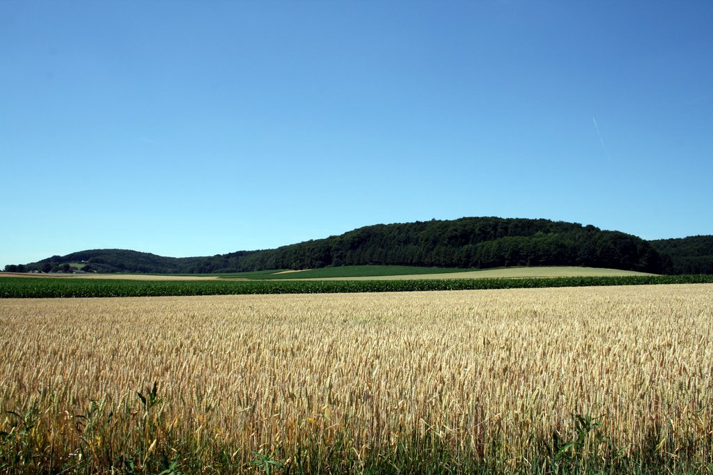 Stemweder Berg by Thomas-Leupold.de