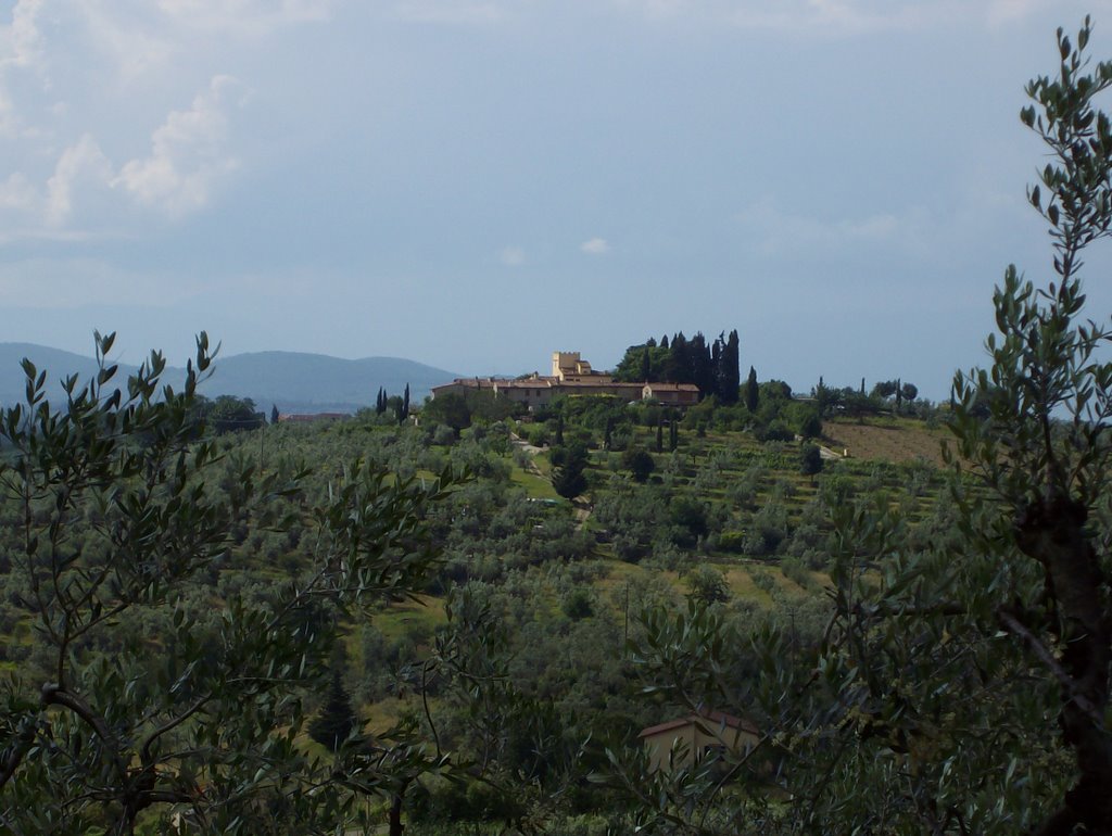 Olivenbäume in der toskanischen Landschaft by bacunajagua