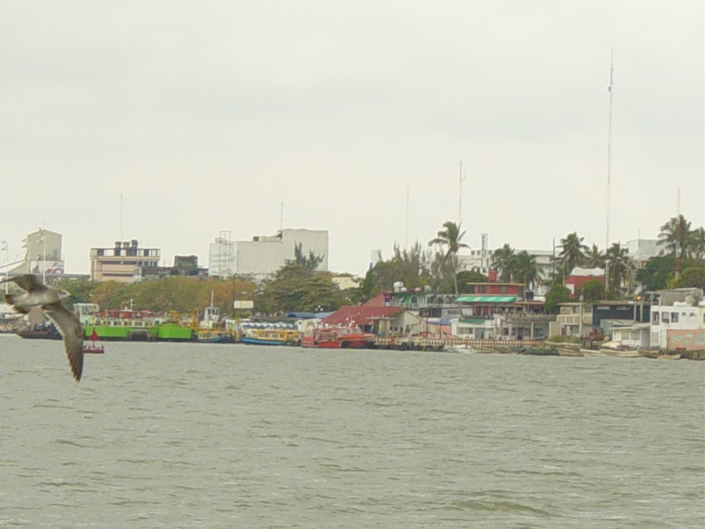 Coatza desde Allende by juan Manuel Morales Zamudio