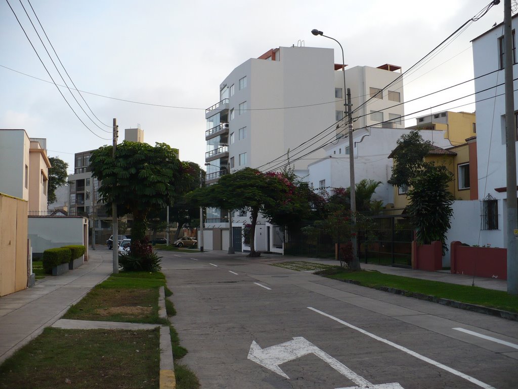 Calle Arica, vista parcial by Guido Mendoza F