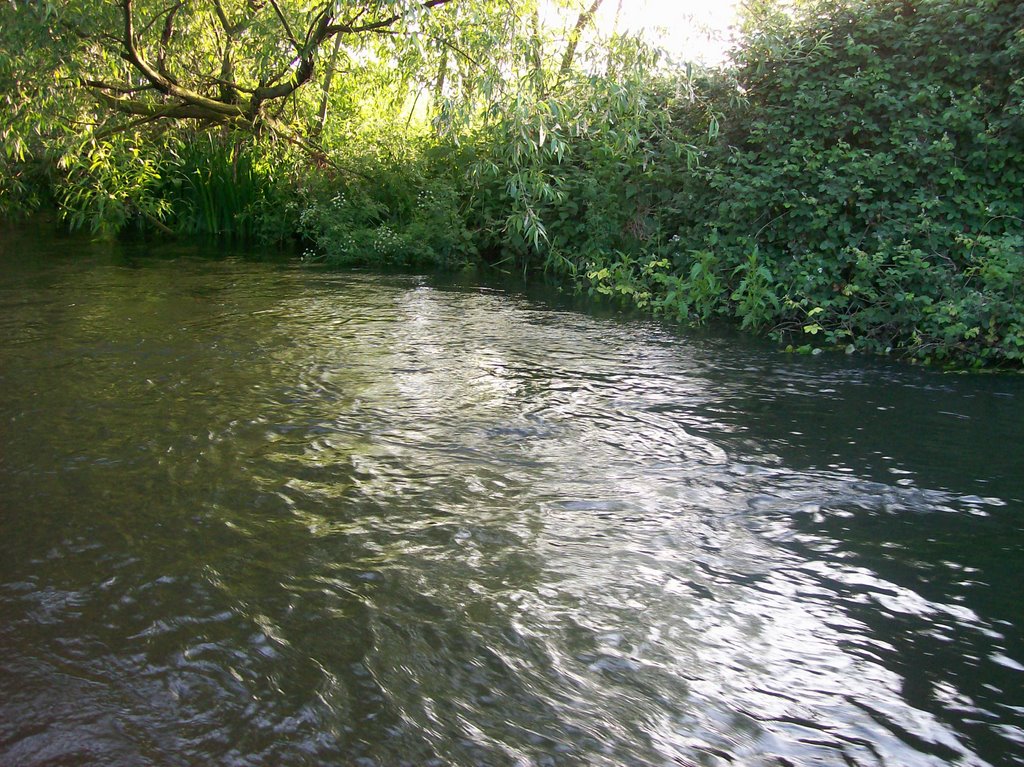 COLN RIVER by mariadomonte