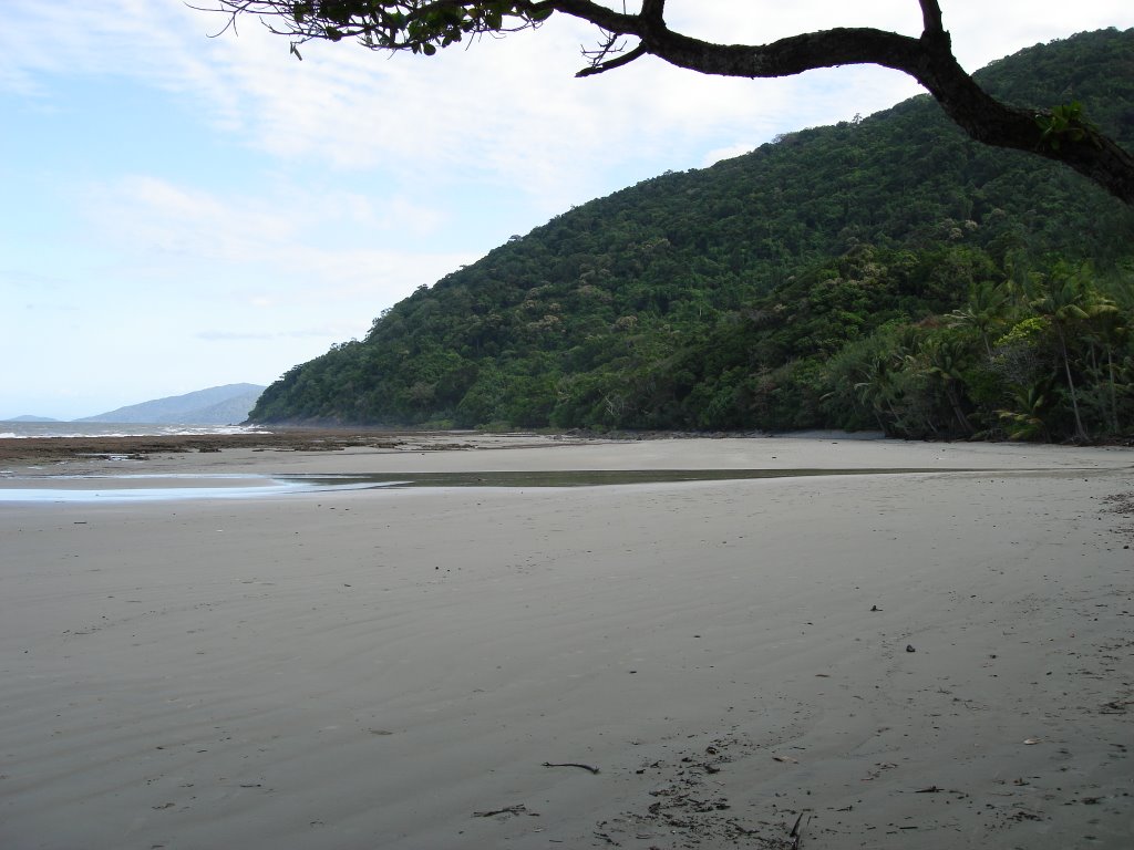 Coconut Beach by nathanhill