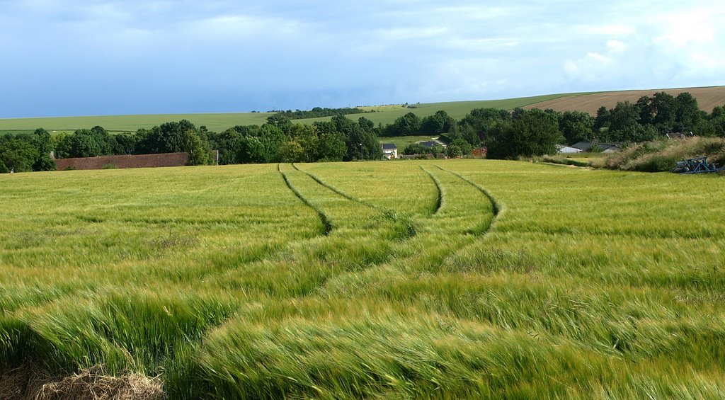 Sainte Marie à Py (51) by BORDONADO