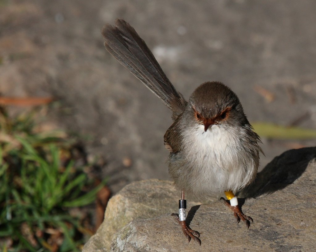 Don't mess with me! by Marthijn de Kool