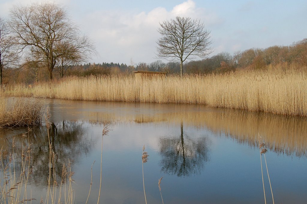 Wasserhindernis by Werner Menken