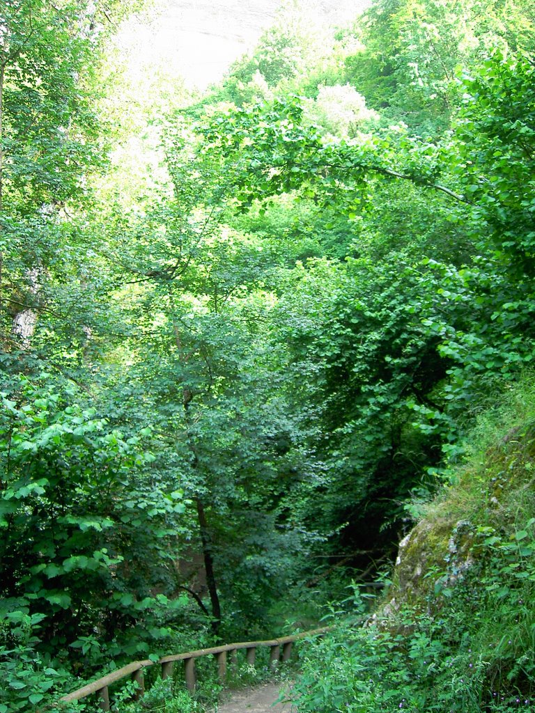 Cueva: Ojo Guareña, bajando al rio Guareña by Rosaflor G.