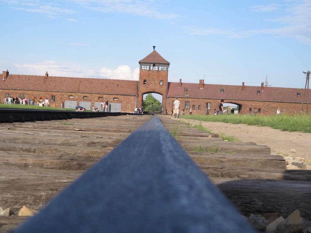 BIRKENAU by Andrew Davis