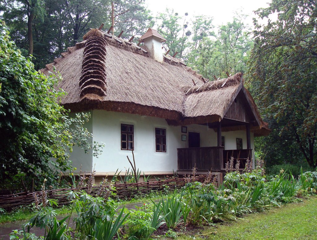 A Ukrainian Hut by Pavlo Dyban