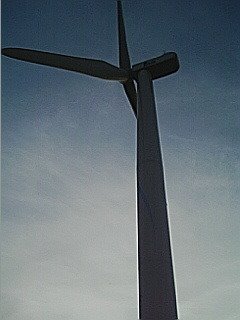 Shin-kiba wind power by Gzu