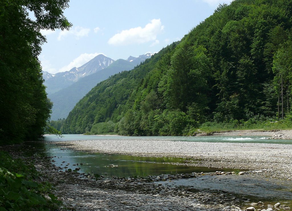 Ache am Segelflugplatz by K.Herr