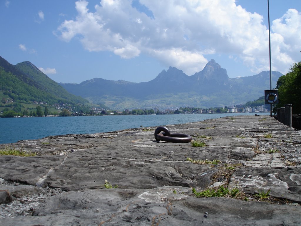 Lake of Lucerne, view from Treib to the mount Mythen, Seelisberg by looser oswald