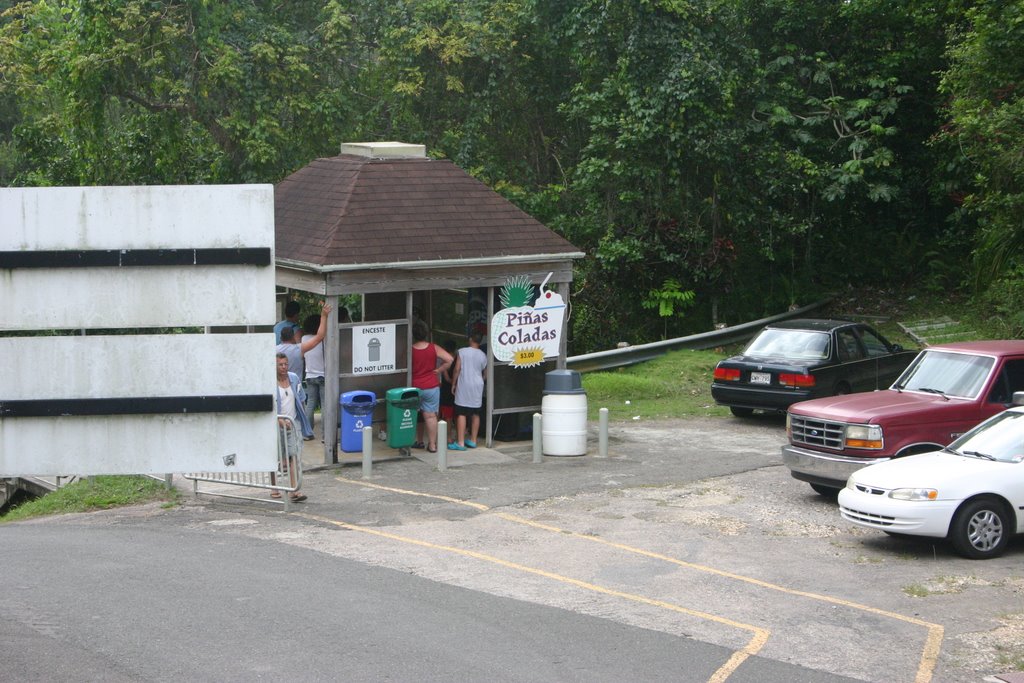 Arecibo Pina Colada's on the way to the Dish by Gary Zeus