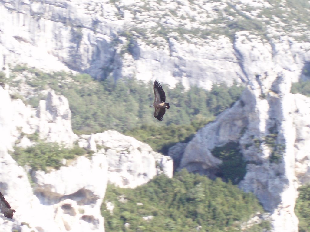 GARGANTA DE VERDON by Antonio Vega