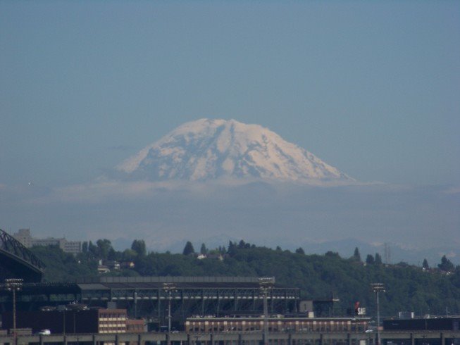 Mount Rainier by Stefanie