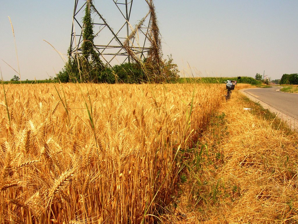 La strada del pane. by maes maestri