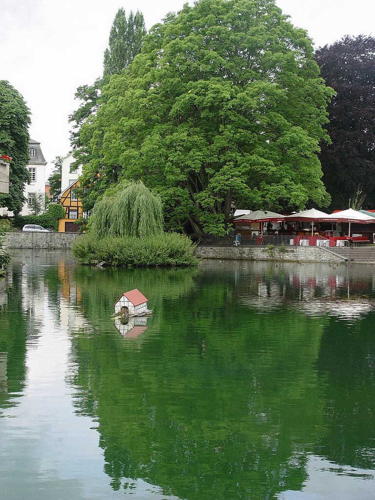 GS - Soest, Am Großen Teich by GermanSue