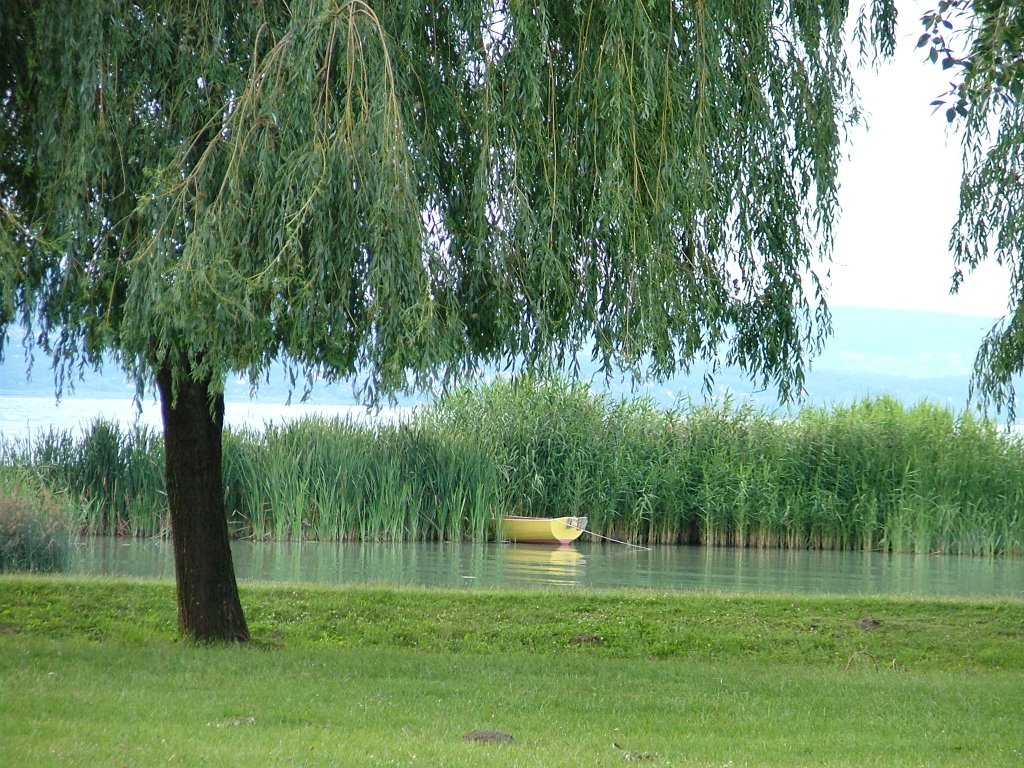 Balatonpart by Tibor Hebhart