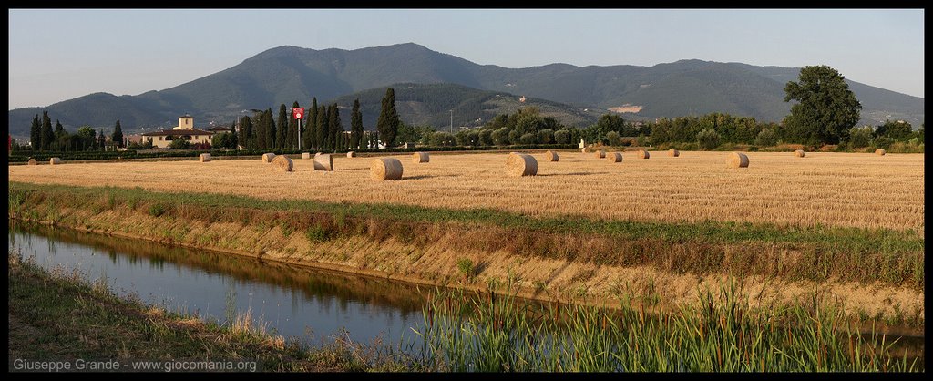 Piana di Campi Bisenzio by Giuseppe Grande