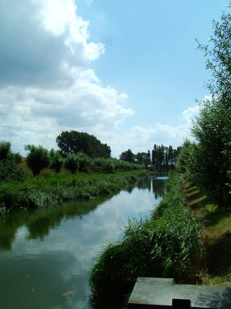 Ditch along Nieuwe Rijweg Spaarndam by H. van de Moosdijk