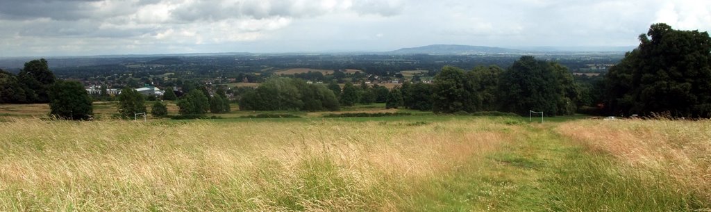 The Wyche Common, Worcestershire, July 6 2008 by jh822007