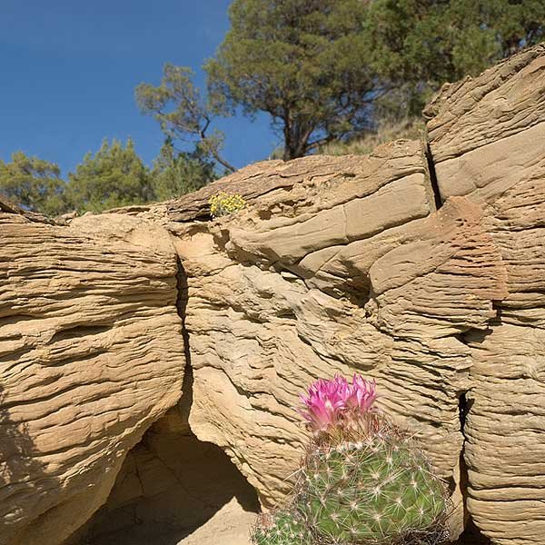 Sandstone formation, Little Missouri National Grassland, McKenzie County, ND by Jerry Blank