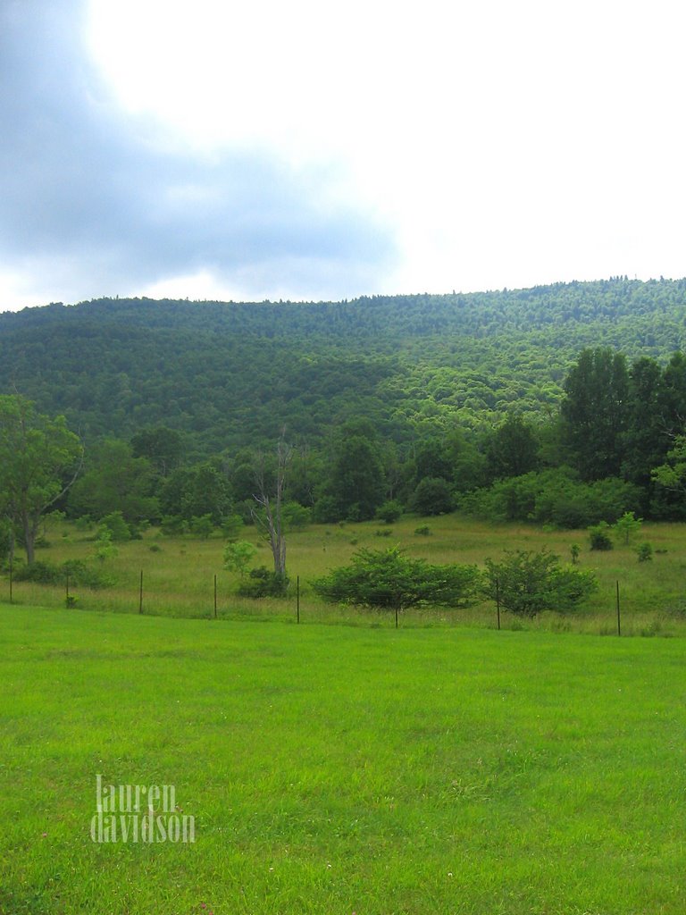 Cass Scenic Railroad by Lauren LeRose Davids…