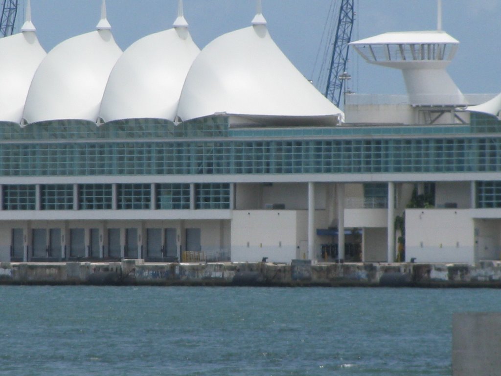 Puerto de cruceros de miami by agustin mantilla