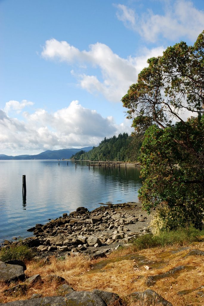 Saanich Inlet by Greater Victoria