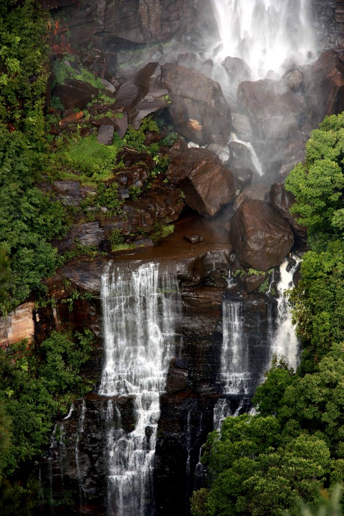 Fitzroy Falls by Tamas Keresztes