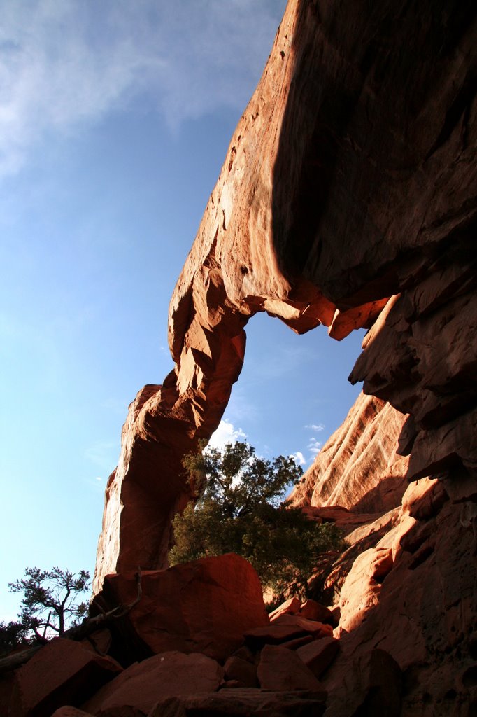 Rubble and pine trees beneath Wall Arch by Ryan Calhoun